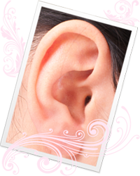 耳つぼダイエット